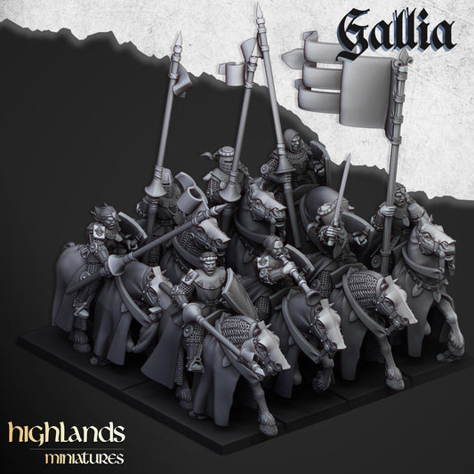Gallia Young Knights