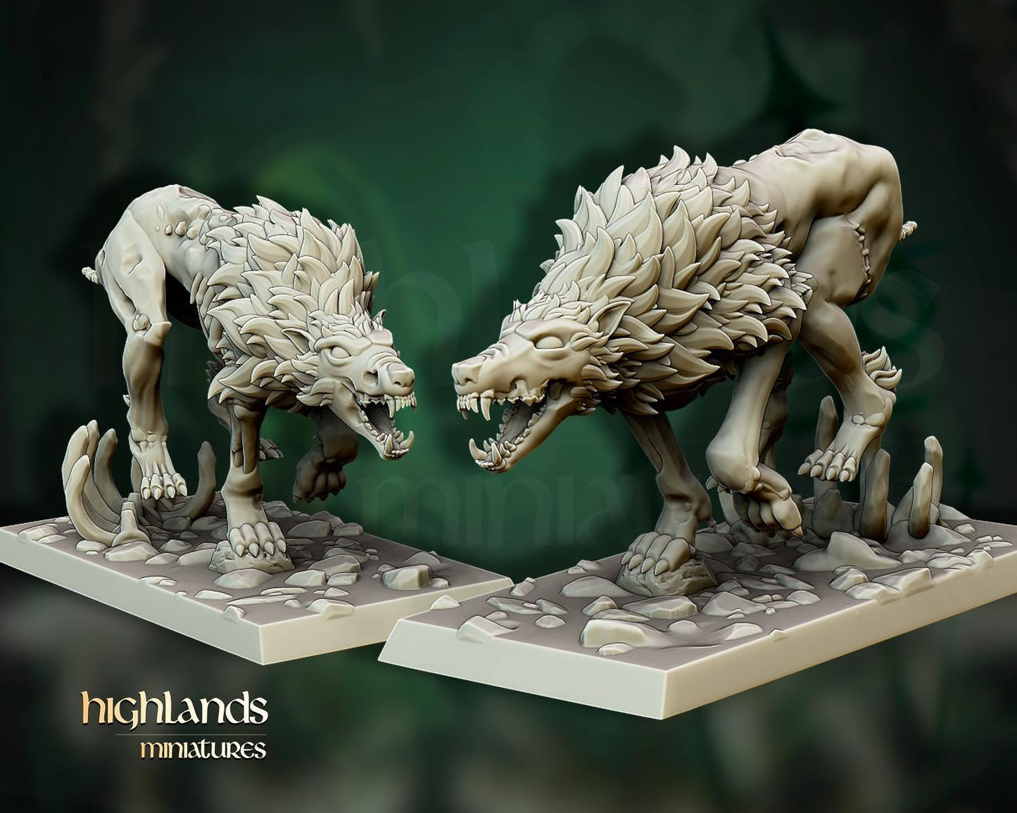 Transylvania Direwolves