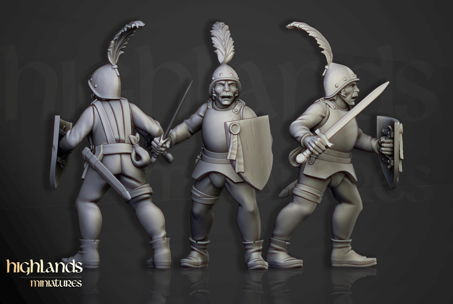 Sunland Swordsmen Reinforcement