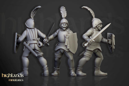 Sunland Swordsmen Reinforcement