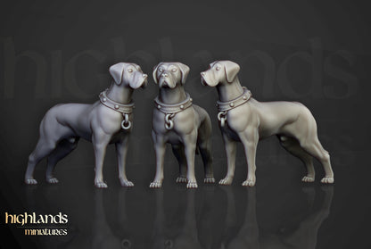 Sunland Inquisitorial Warband