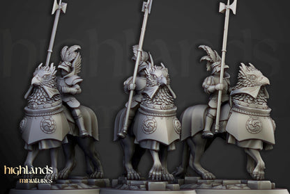 Sunland Knights of Rising Sun