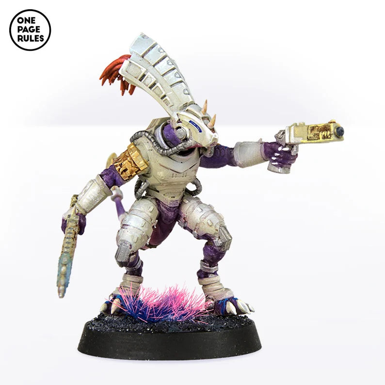 Gecko Chief