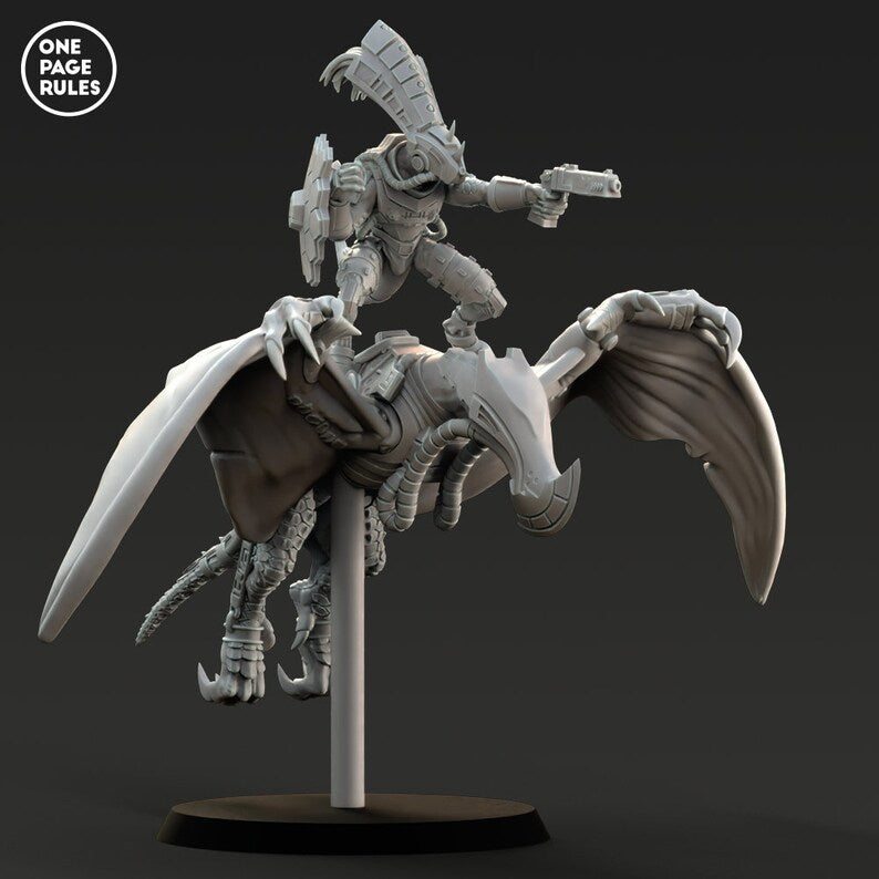 Gecko Chief Rider