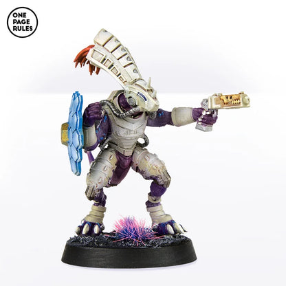 Gecko Chief