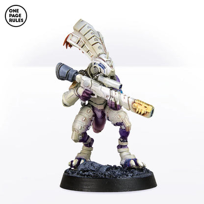 Gecko Chief