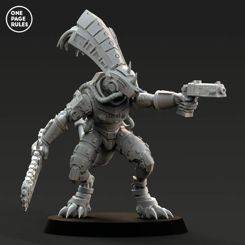 Gecko Chief