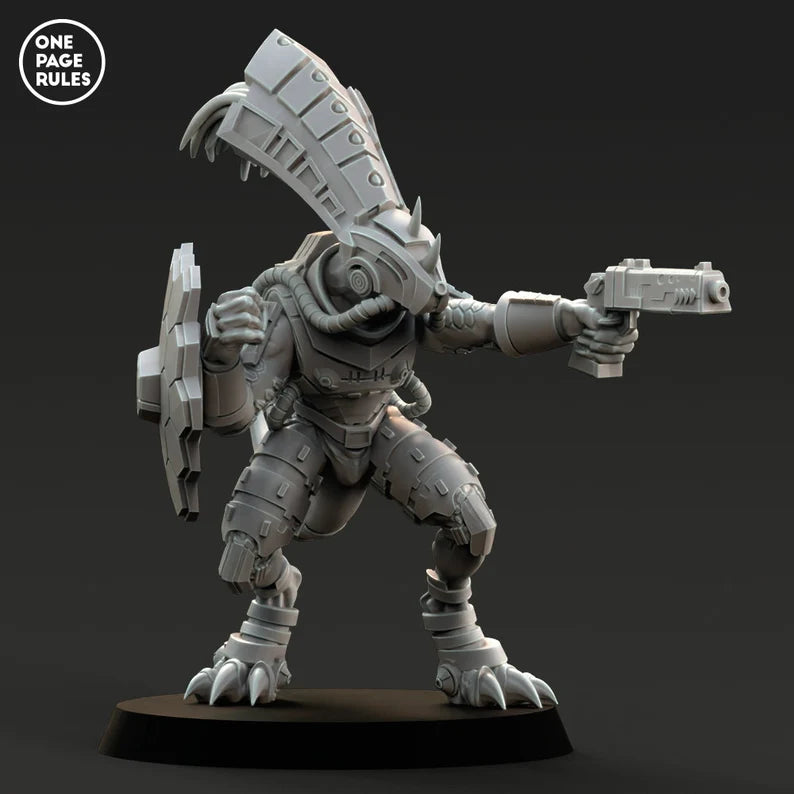 Gecko Chief