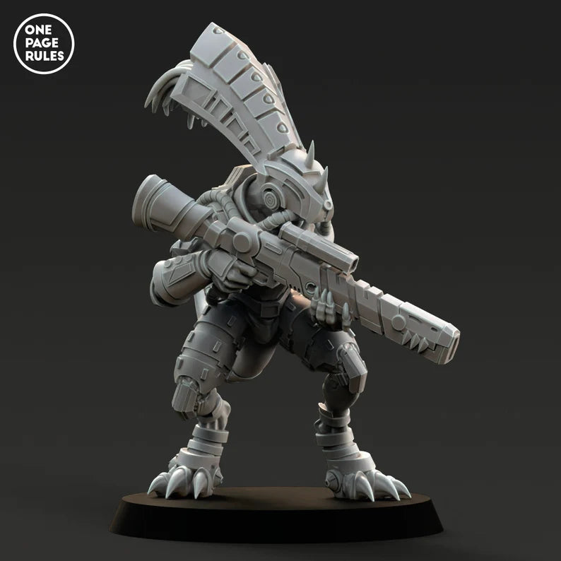 Gecko Chief