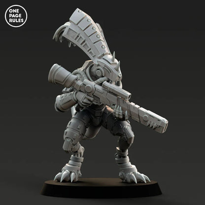 Gecko Chief