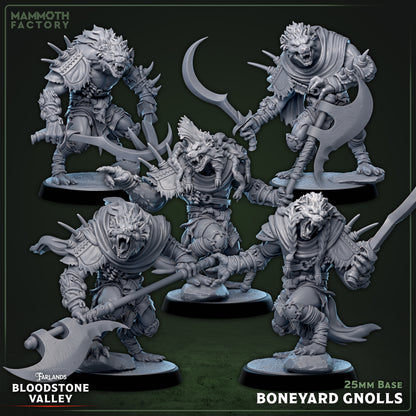 Boneyard Gnolls