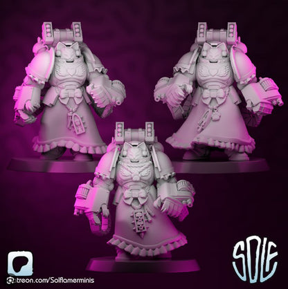 Maidmarine Agressors