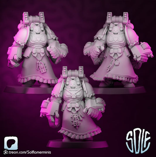 Maidmarine Agressors