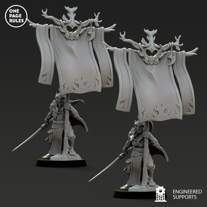 Army Standard Bearer