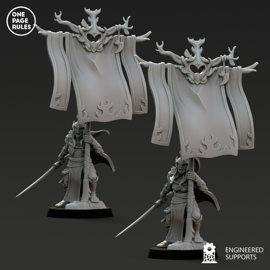 Army Standard Bearer